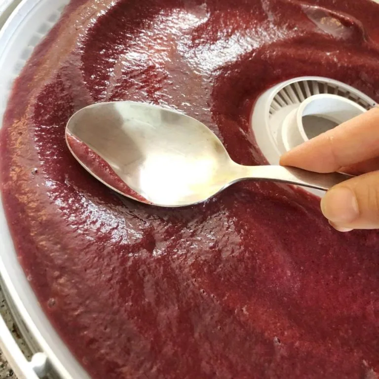 Dehydrator fruit puree Dehydrator fruit puree