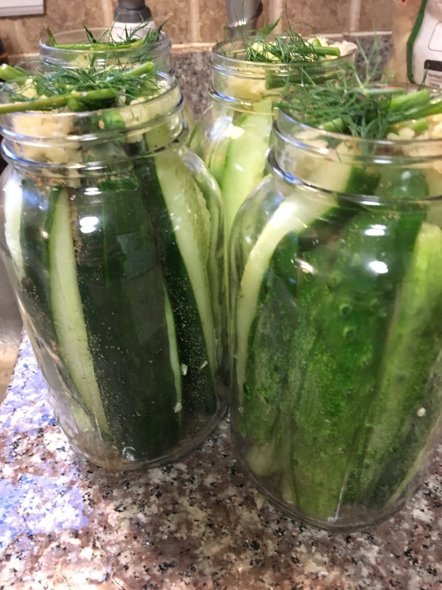 Homemade Apple Cider Dill Pickles - Healthy Alyona